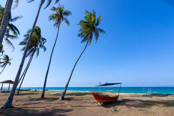 Sac pour week end femme: élégance et fonctionnalité assurées