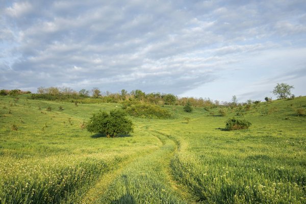 Découvrez berlin : activités et lieux incontournables