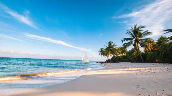 Top 5 destinations insulaires pour des vacances en décembre