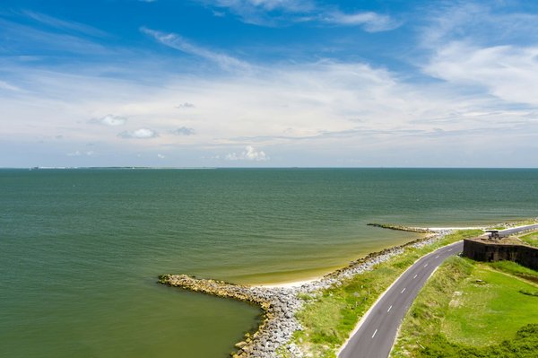 Quels sont les meilleurs spots pour une plongée avec les dauphins en Mer Rouge ?